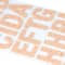 12 Pack: Blush Glitter Alphabet Stickers by Recollections™